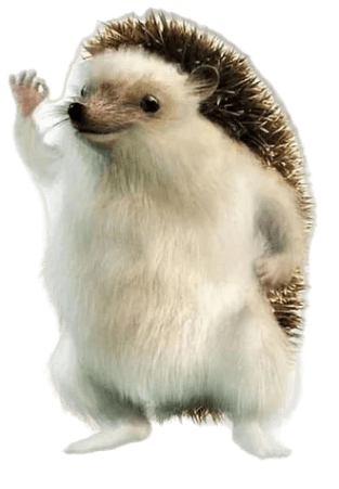 Logo David Bélanger Test