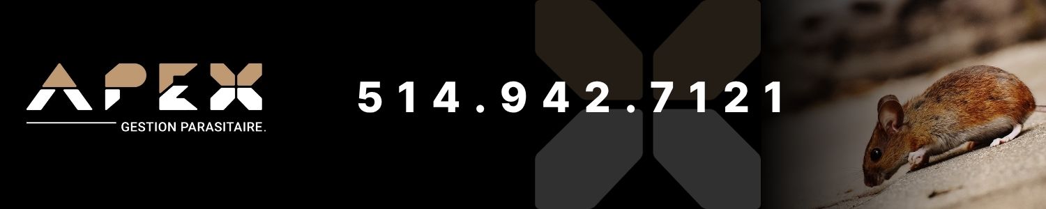 exterminateurs