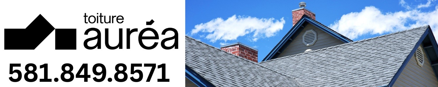 toiture-revetements-gouttieres