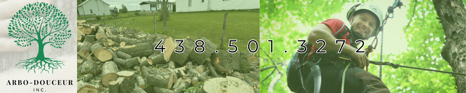 Arbo-douceur inc.