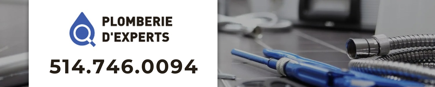 Plomberie Services D'experts - Plombier Auteuil