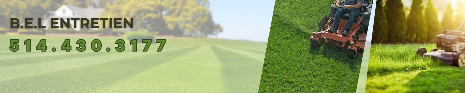 entretien-pelouse