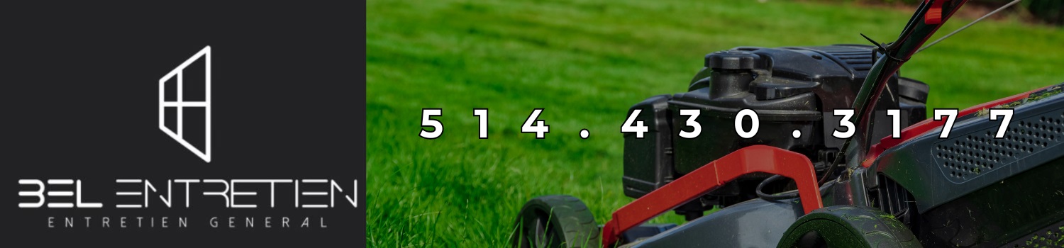 entretien-pelouse