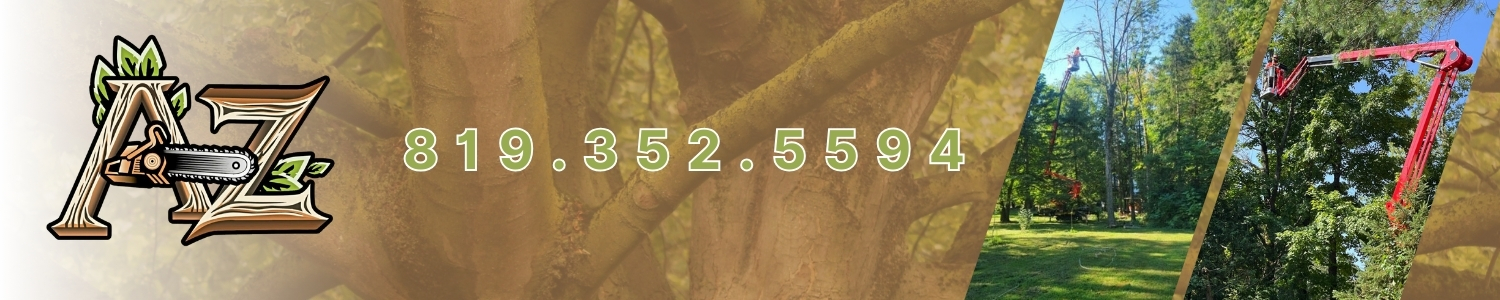 Élagage A-Z - Émondeur Acton Vale