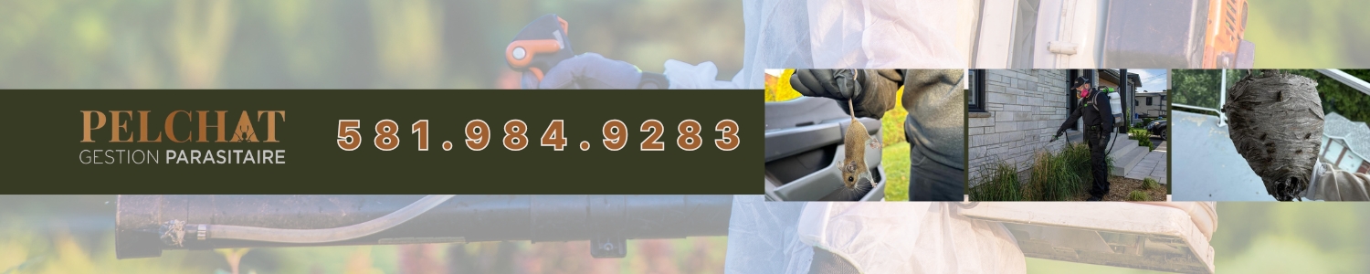 Pelchat Gestion Parasitaire Inc. - Exterminateur