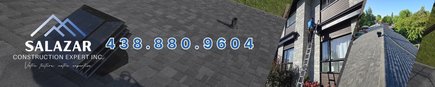 toiture-revetements-gouttieres