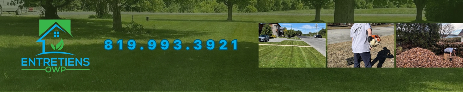 entretien-pelouse