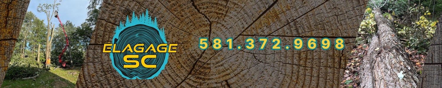 elagueur