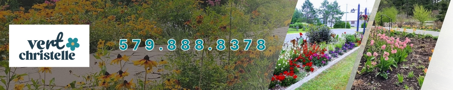 amenagement-paysager