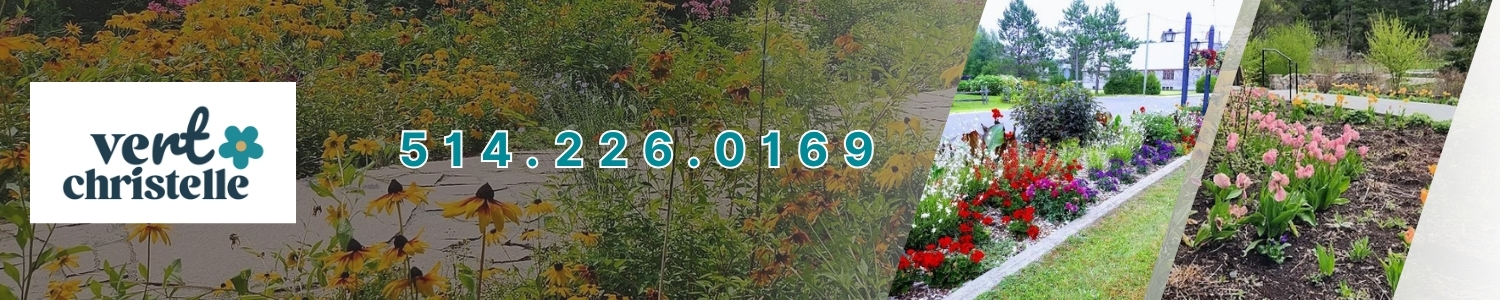 amenagement-paysager