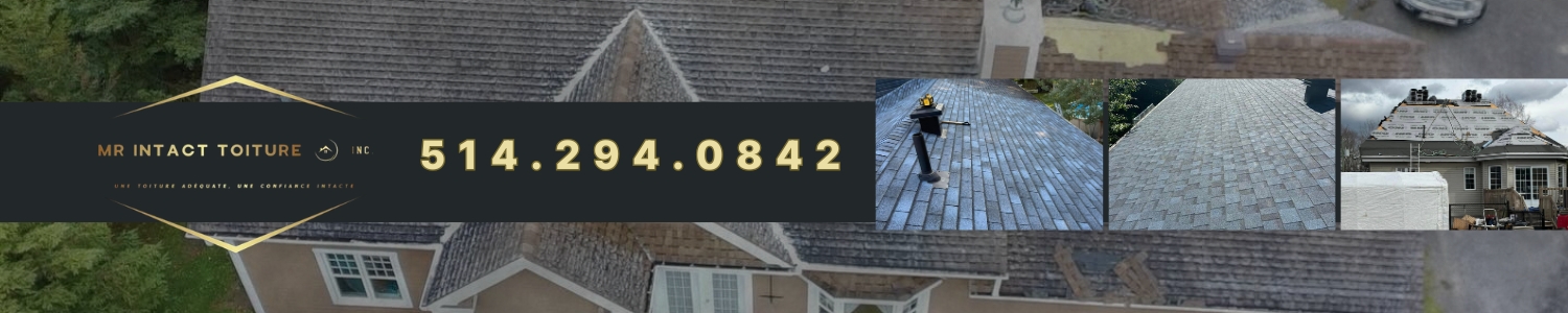 toiture-revetements-gouttieres