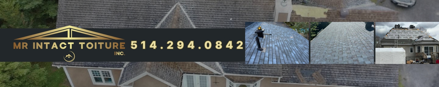 toiture-revetements-gouttieres