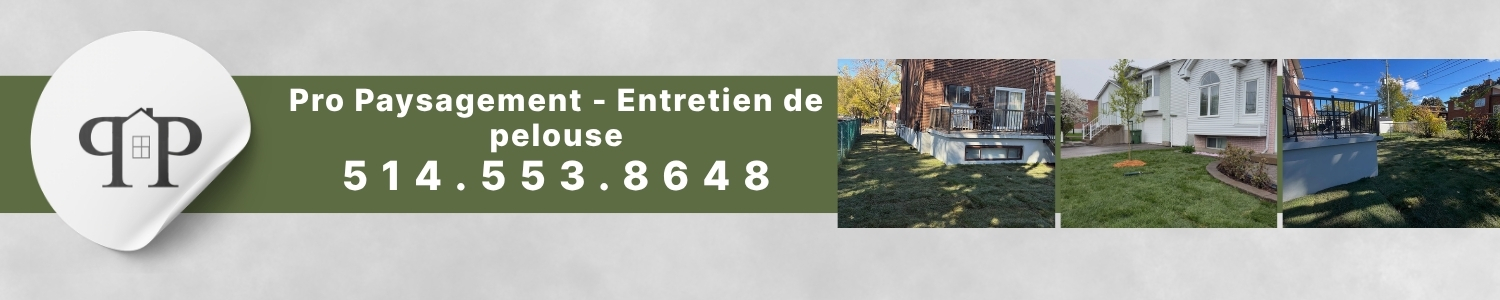 entretien-pelouse