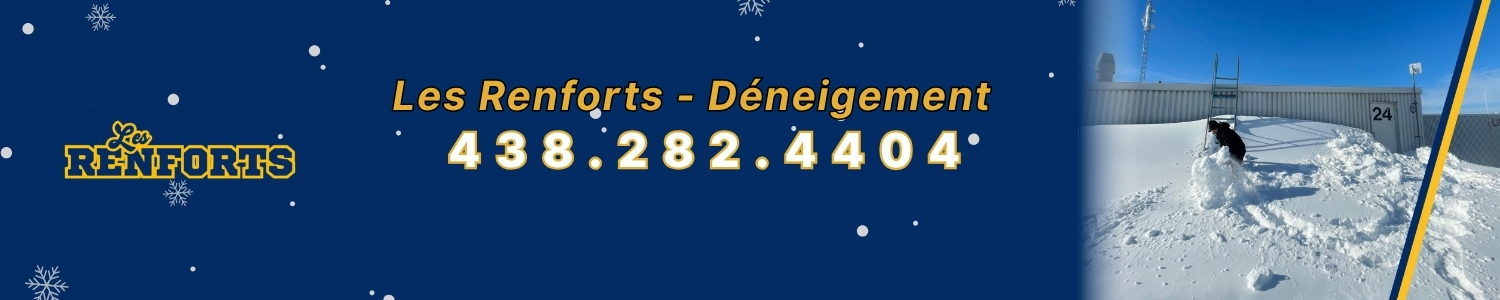 deneigeur