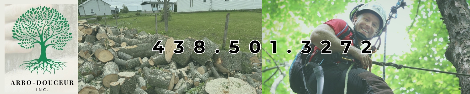 Arbo-douceur Inc. - Abattage, Services d'arbres, Élagage Notre-Dame-Des-Prairies