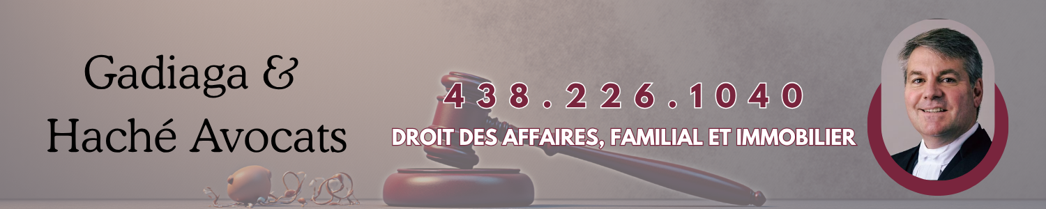 droit-affaires